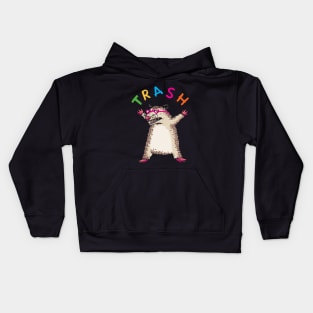 Trash Opossum wearing heart sunglasses Kids Hoodie